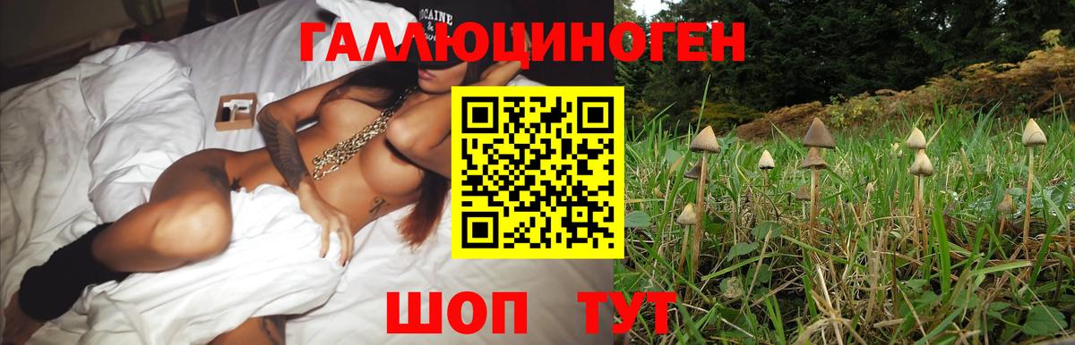 Псилоцибиновые грибы Magic Shrooms  Псилоцибиновые грибы мухоморы  Вход с VPN  Острогожск 